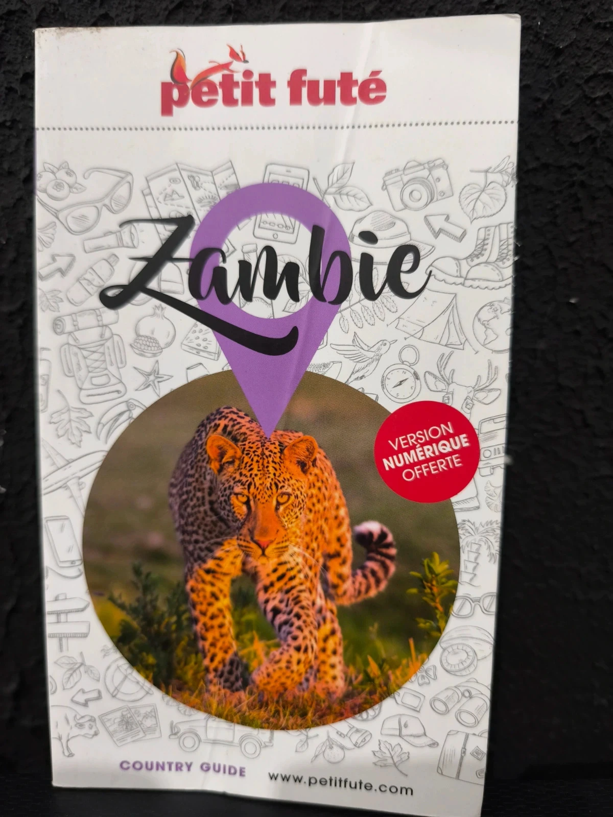 Zambie